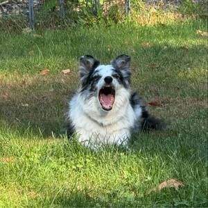 Meet your Posher, Jeannie